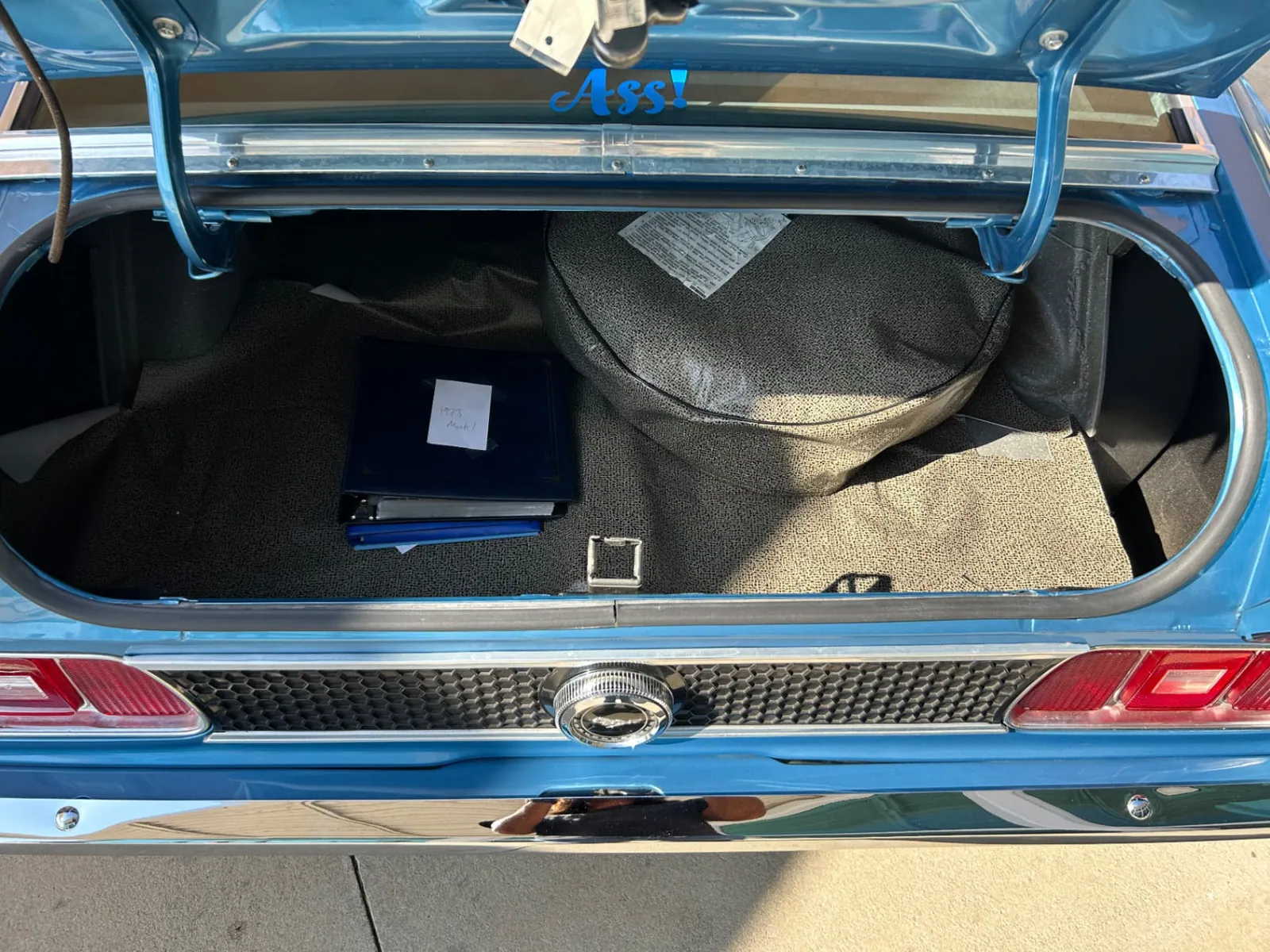 1973 Ford Mustang Mach 1 photo 9