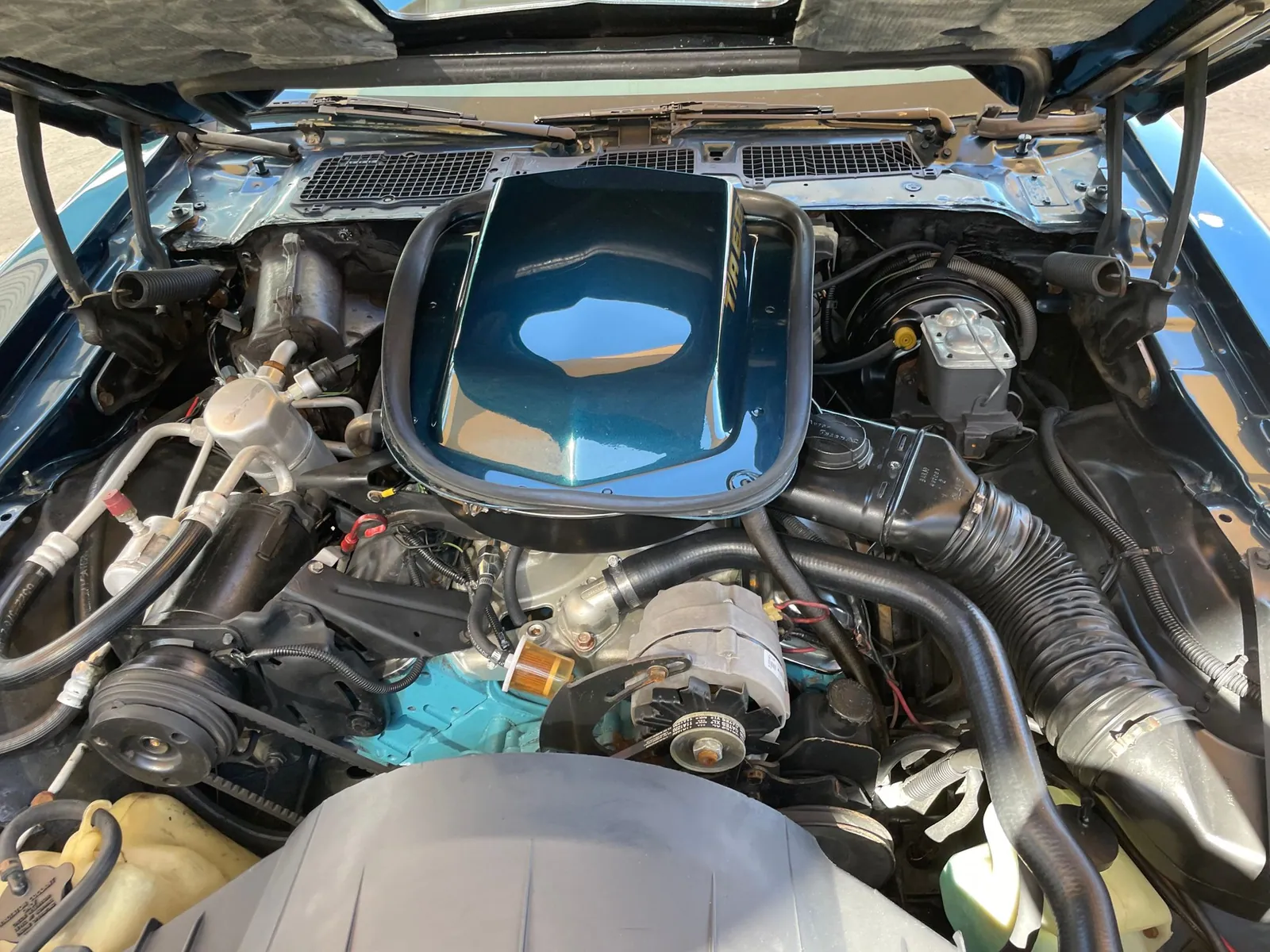 1979 Pontiac Trans AM photo 13