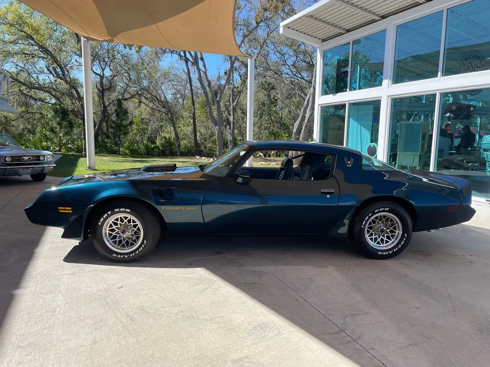 1979 Pontiac Trans AM photo 3